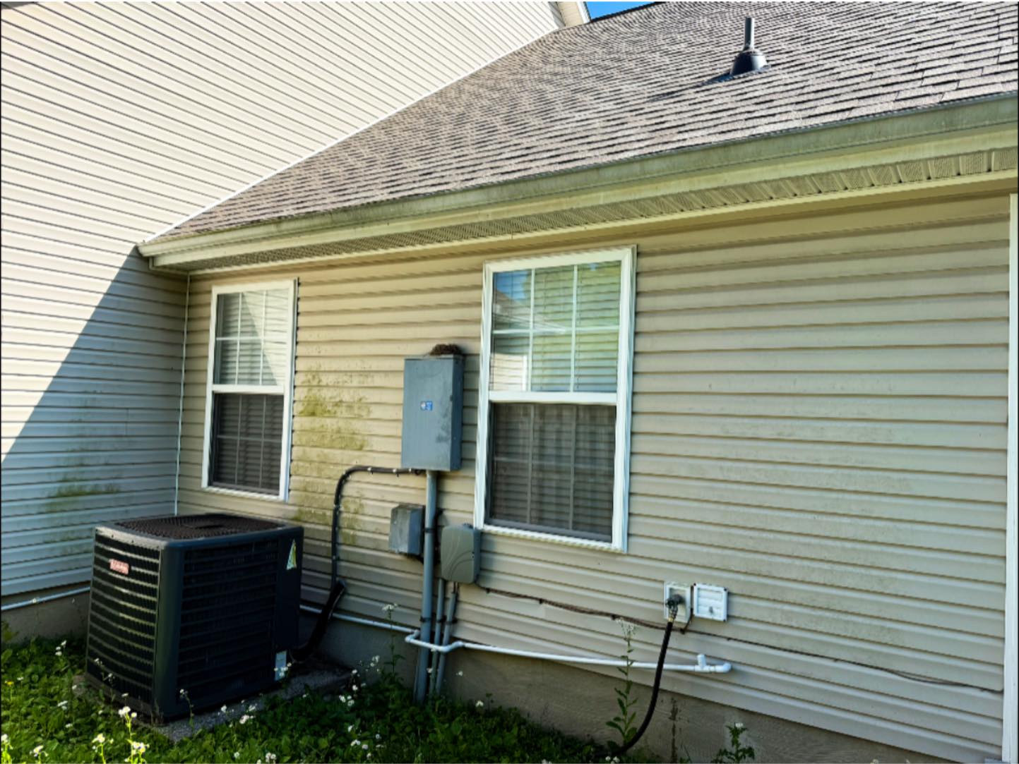 Before professional house wash, gutter cleaning, & surface refresh in Mt. Juliet, TN